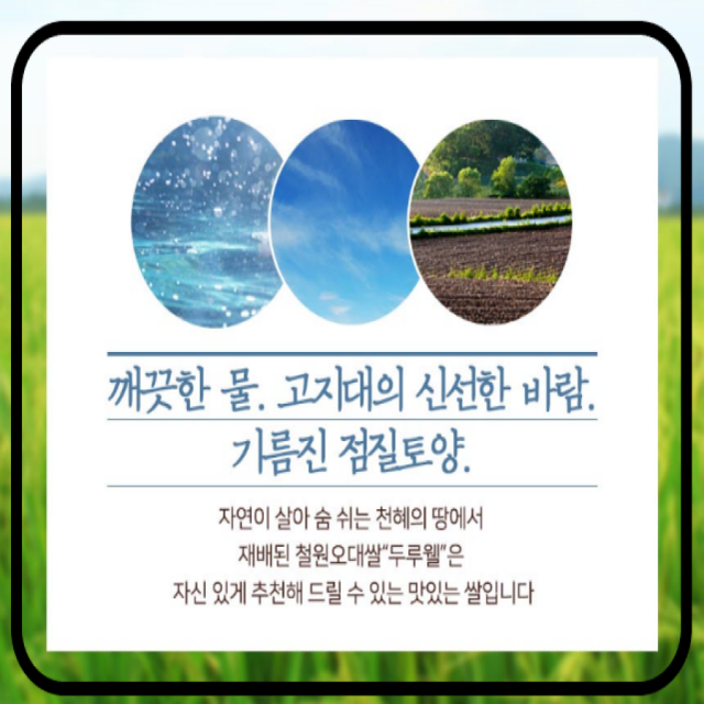 철원동신미곡처리장 두루웰철원오대쌀,[DMZ햅쌀 철원동신미곡 ]두루웰철원오대쌀10KG*2 (천혜의 자연을 담은쌀)