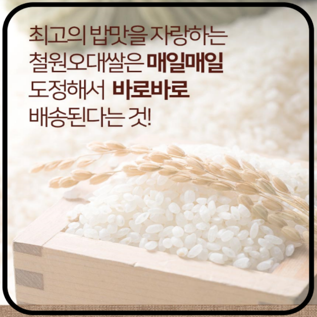 철원동신미곡처리장 두루웰철원오대쌀,[철원동신미곡 DMZ햅쌀]4KG두루웰철원오대쌀 (천혜의 자연을 담은쌀)