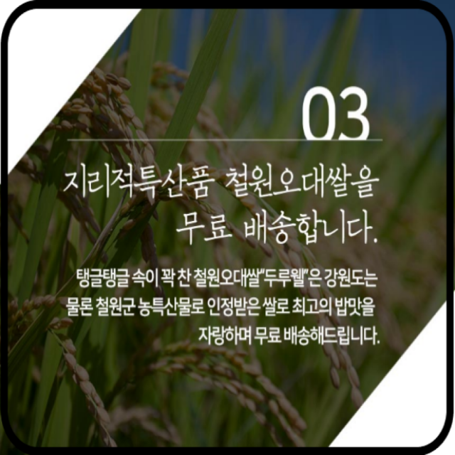 철원동신미곡처리장 두루웰철원오대쌀,[철원동신미곡 DMZ햅쌀]4KG두루웰철원오대쌀 (천혜의 자연을 담은쌀)