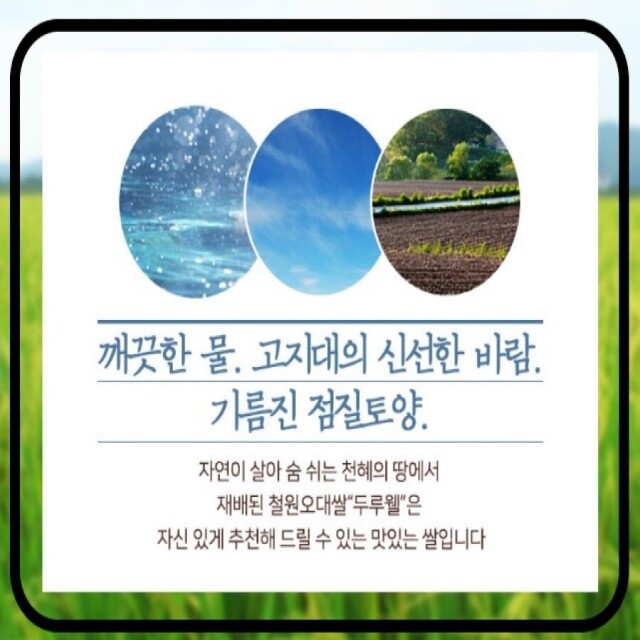철원동신미곡처리장 두루웰철원오대쌀,[DMZ오대햇현미 철원동신미곡]10KG철원오대햇현미 다이어트식으로로 건강식으로고 일품