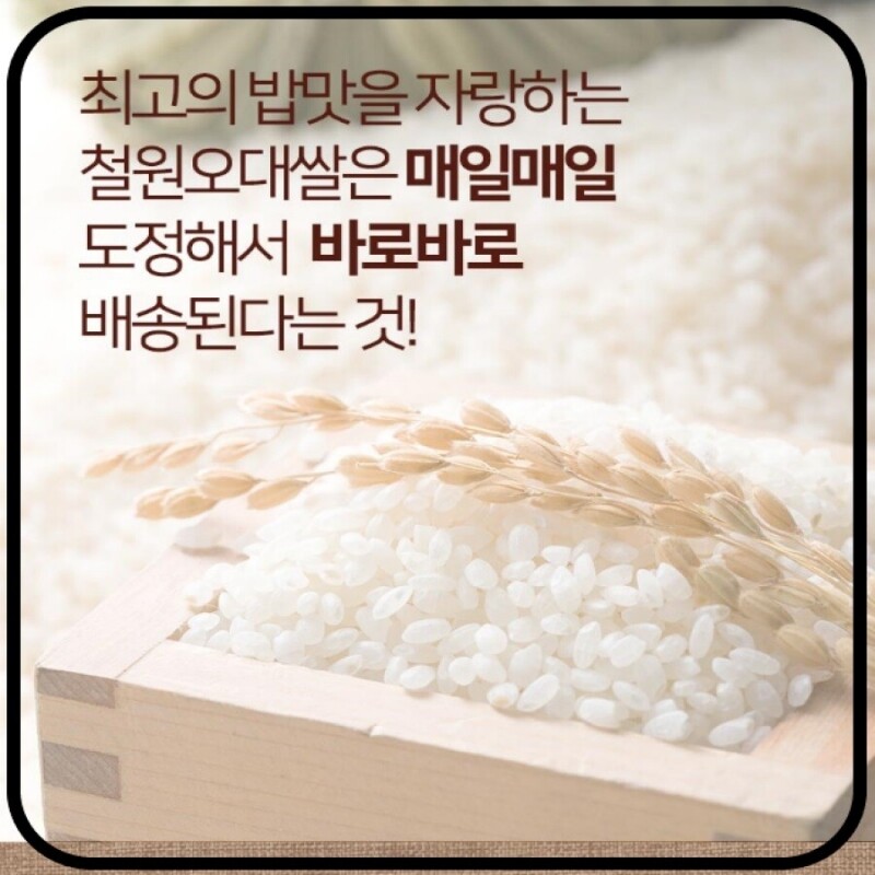 철원동신미곡처리장 두루웰철원오대쌀,[26년산햅쌀 철원동신미곡] 두루웰철원오대쌀10KG (찰지고 맛있는 DMZ햅쌀)